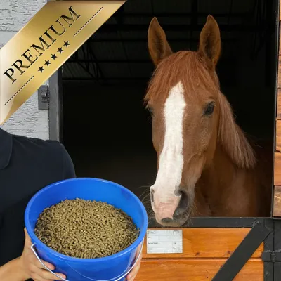 Lyra Horse® Senior aliment minéral en seau