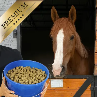 Lyra Horse® friandise à la pomme
