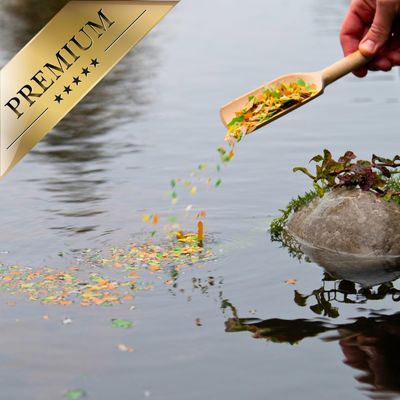 Lyra Pond® Pond Multi Flakes – Nourriture pour poissons d'étang en seau