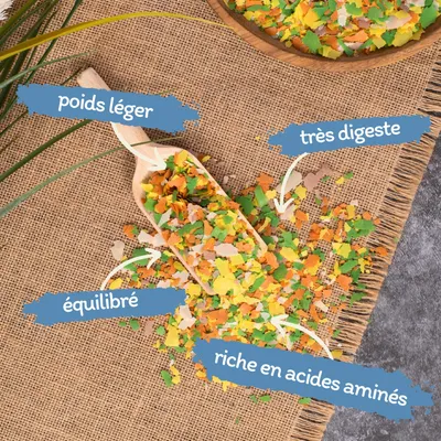 Lyra Pond Pond Multi Flakes aliment pour bassin en seau