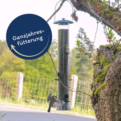 Lyra Pet® Graines de tournesol noires