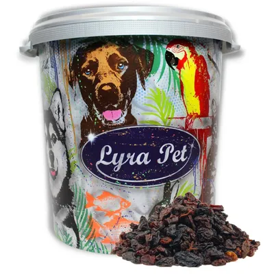 Lyra Pet® Raisins secs