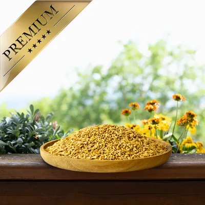 Lyra Pet® Riz Paddy