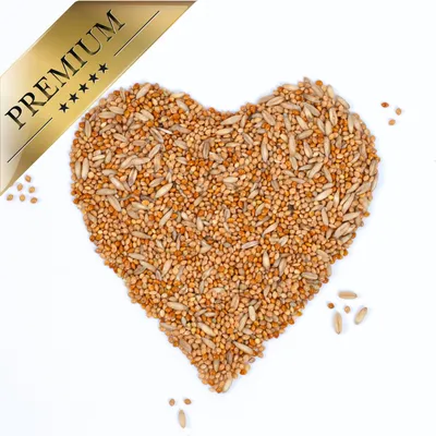 Lyra Pet® nourriture pour perruches