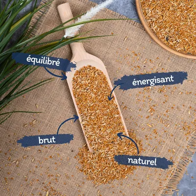 Lyra Pet® nourriture pour perruches