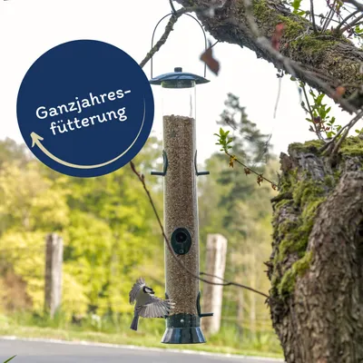 Lyra Pet® nourriture grasse