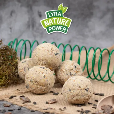 Lyra Pet® Boulettes de mésanges du moulin d'Alb fruits + distributeur