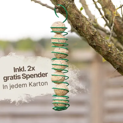 Lyra Pet® Boules de graisse de l'Alb-Mühle, céréales complètes et fruits Lyra Pet® Boules de graisse de l'Alb-Mühle, céréales complètes et fruits