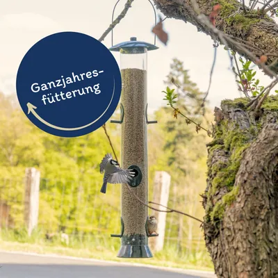 Graines de tournesol décortiquées Lyra Pet® Brisure