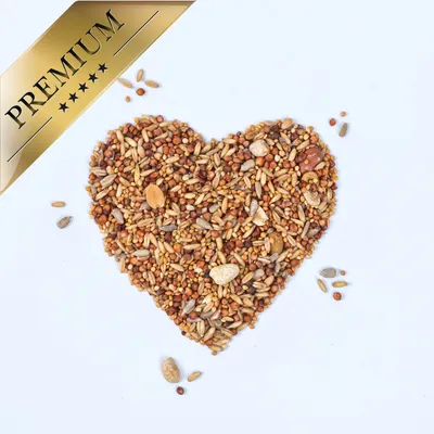 Lyra Pet® nourriture en litière sans coquilles