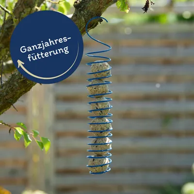 Lyra Pet® Premium Boulettes de mésanges sans filet Ã 85 g