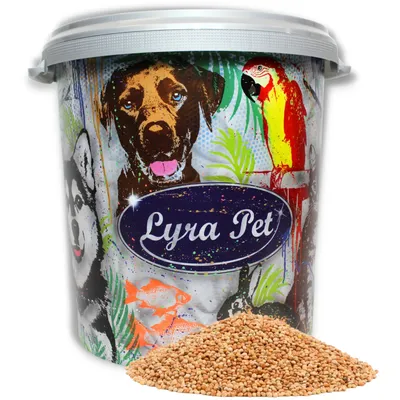 Lyra Pet® Millet blanc jaune en vrac Lyra Pet® Millet blanc jaune en vrac