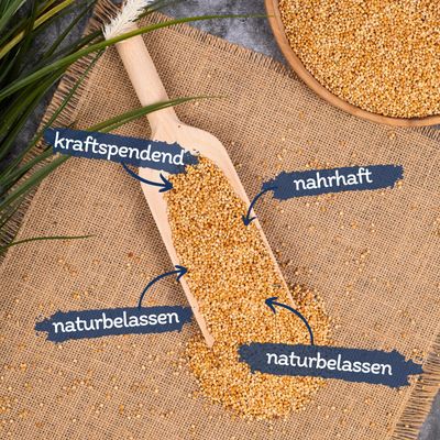 Lyra Pet® Millet blanc jaune en vrac