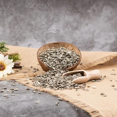 Lyra Pet® Sonnenblumenkerne gestreift