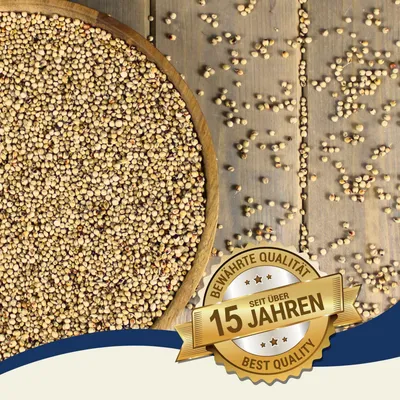 Lyra Pet® Dari blanc