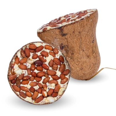 Lyra Pet® Energie Boost Futterglocke mit Erdnüssen