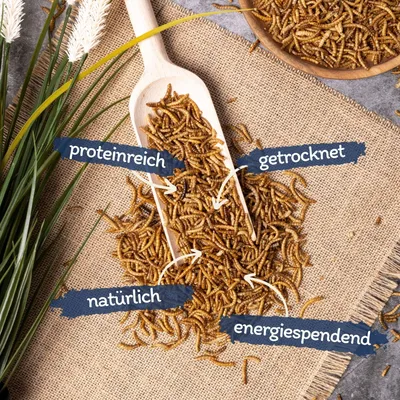 Lyra Pet® vers de farine séchés