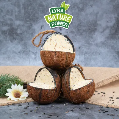 Lyra Pet® Gefüllte Kokosnuss mit V-Cut