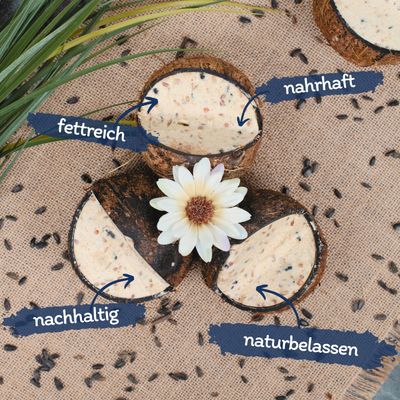 Lyra Pet® Ganze Kokosnuss gefüllt mit V-Cut