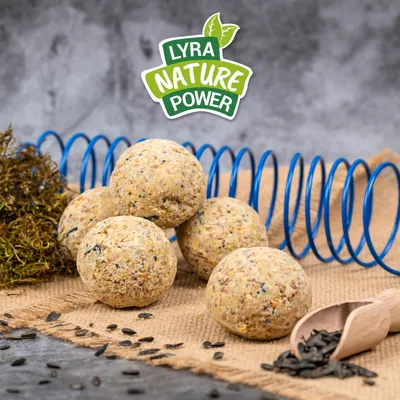 Lyra Pet® Boulettes toute l'année sans filet à 90 g