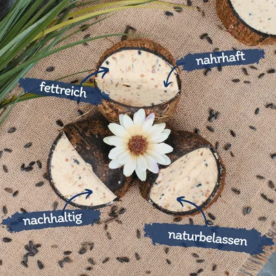 Lyra Pet® Noix de coco farcie avec coupe en V