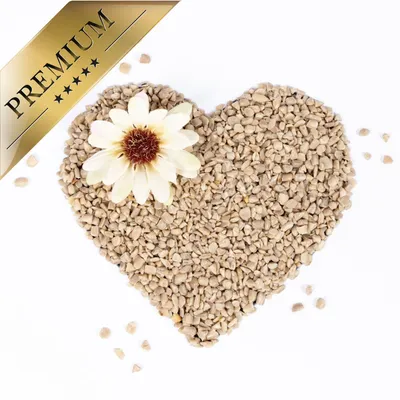 Graines de tournesol décortiquées Lyra Pet® Brisure
