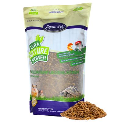 Lyra Pet® Soldatenfliegenlarven