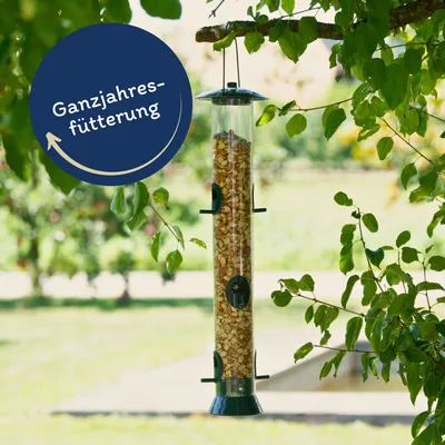 Lyra Pet® Splits de cacahuètes mélangés blanchis et avec peau