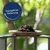 Lyra Pet® Rosinen Lyra Pet® Rosinen