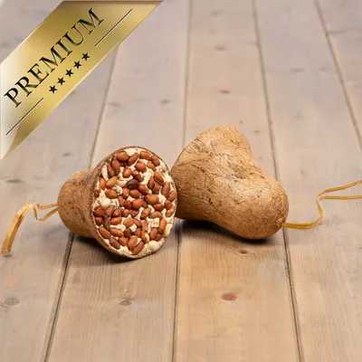 Lyra Pet® Cloche à nourriture avec cacahuètes