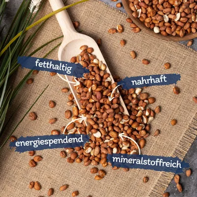 Cacahuètes Lyra Pet® avec peau