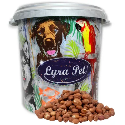 Cacahuètes Lyra Pet® avec peau