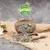 Lyra Pet® Graines de tournesol striées