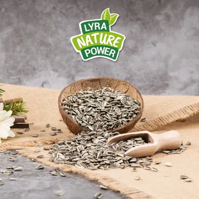 Lyra Pet® Graines de tournesol striées