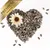 Lyra Pet® Graines de tournesol striées
