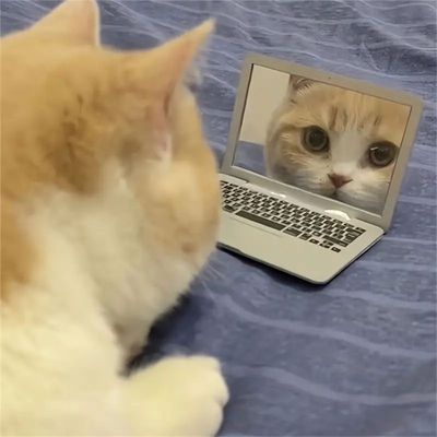 MCBOSON Interaktives Katzenspielzeug, simuliert einen Computer