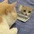 MCBOSON  Jouet interactif pour chat,Simuler un ordinateur
