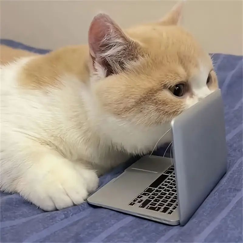 MCBOSON Interaktives Katzenspielzeug, simuliert einen Computer