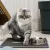 IntiMeg Katzenmatte – Katzenstreu-Auffangmatte IntiMeg Katzenmatte – Katzenstreu-Auffangmatte