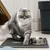 IntiMeg Tapis pour chat - Captateur de sable de chat