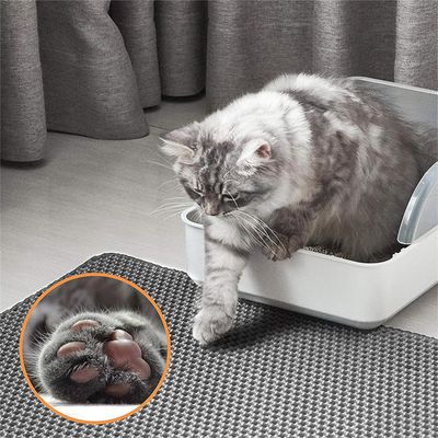 IntiMeg Tapis pour chat - Captateur de sable de chat