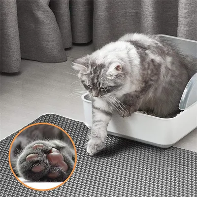 IntiMeg Tapis pour chat - Captateur de sable de chat