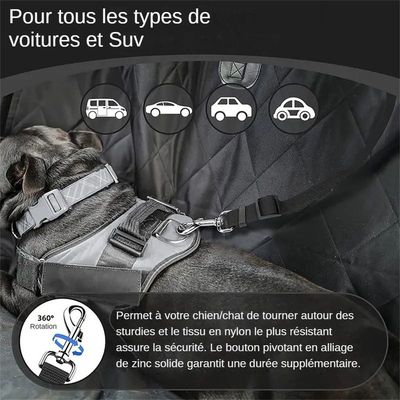 MCBOSON Cinturón de seguridad para perros en el vehículo