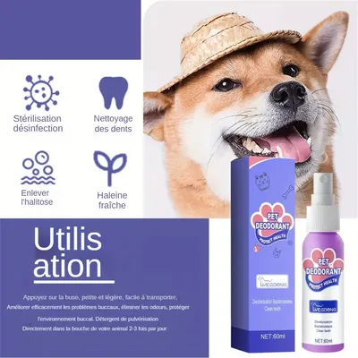 MCBOSON Spray nettoyeur pour dents