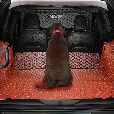 MCBOSON  Filet de Sécurité pour Chien en Voiture