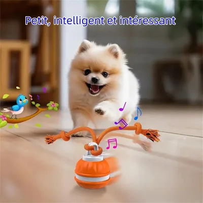 MCBOSON Balle roulante automatique pour chien