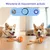 MCBOSON Balle roulante automatique pour chien