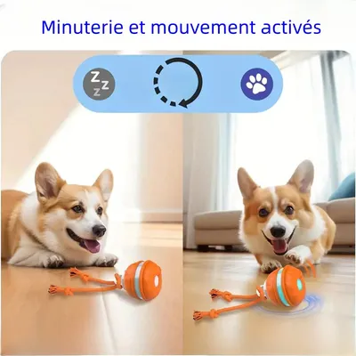 MCBOSON Balle roulante automatique pour chien