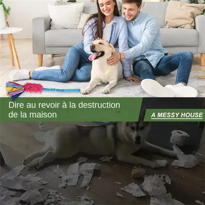 MCBOSON Jouet en corde pour chien,anti déchirure