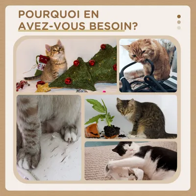 PawHut - arbre à chat griffoirs boules plateforme